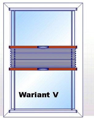 wariant-vorig